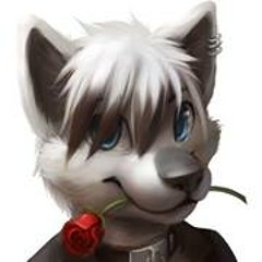 Renard queenston