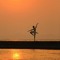 Ahmed_Serag
