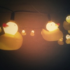 shining duck lights