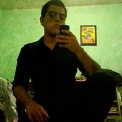 Ing Palomino Van Alvert