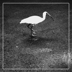 Pretty Girls [Official]