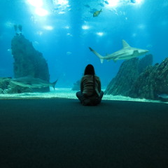 Fernanda C. da Silva