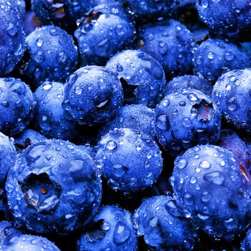 Blueberry-Crunch Records’s avatar