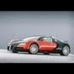 Cameron C s Barkley1981