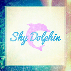 Shy Dolphin