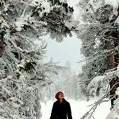 Pallami Bhattacharjee