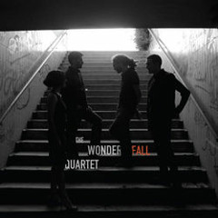 The Wonderfall Quartet
