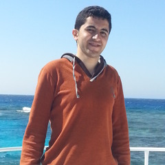 Mohamed Altohamy