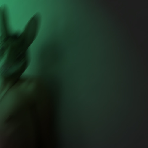 lost identity