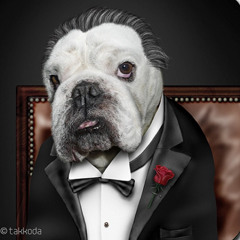 Andre Bontempo Santos △