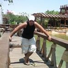 Mario Mayer 5