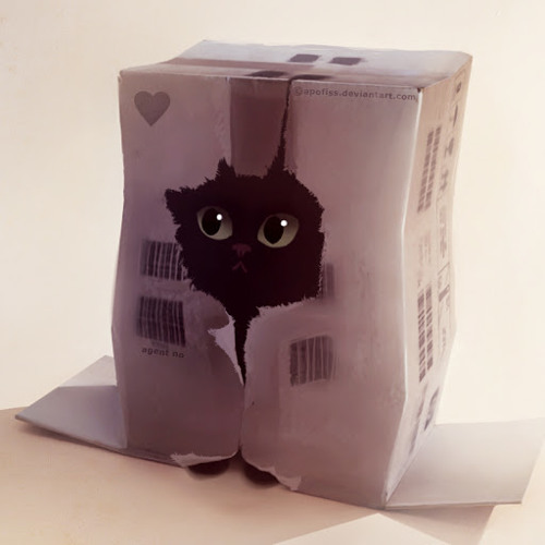 Кот в коробке