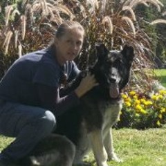 CharShepherds Palmer