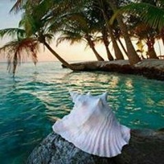 Teresa Vineyard Seguin