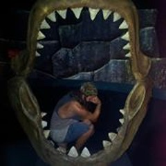 Martin Springfeldt 1