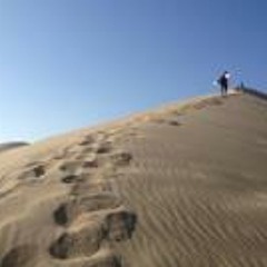 Charles Edouard Fournier