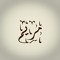 Mariam Hany Mohamed
