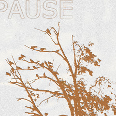 PAUSE_