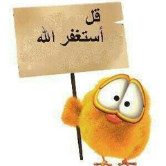 فرحنا اسلامي