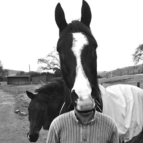 Hard Headed Woman - Cat Stevens