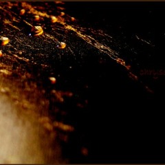 Steven Craig Moser Junior