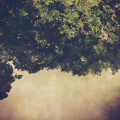 Beams.