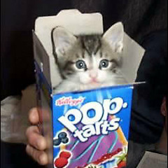ThePoptart