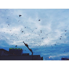 Emeline Ancel-Pirouelle