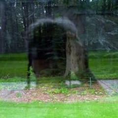 Christiane Zschommler