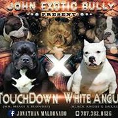 Jonathan Maldonado 49