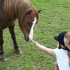 Vikki Hamer Brown Harris