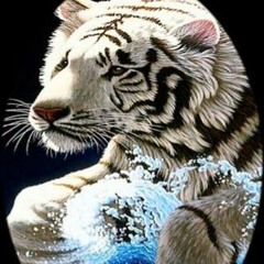 Lesnightbloominglibran