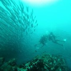 Rhianna Marie Wheeler