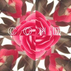 CCkD