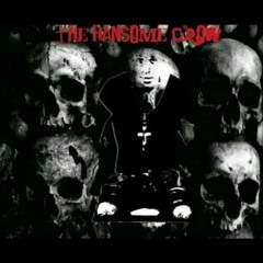 thehansomecrow