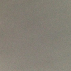 Jessica Elisabeth Sun-Hee