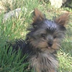 Guadalupe Ubeda Sanchez