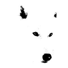 wolf starson