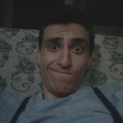 Monzer Ashraf Elmohandes