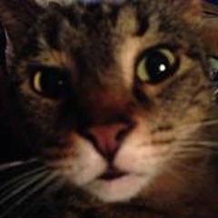 Shannon Waltman Ryle