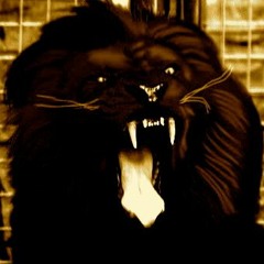 Flow Recording Studioz