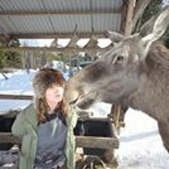 Lilja Gissurardóttir