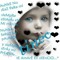 user596258523