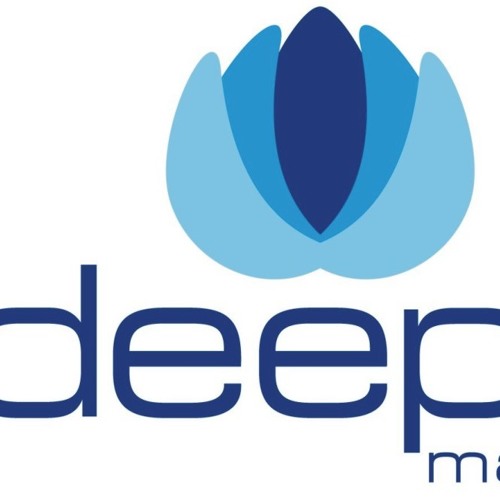 deeplito’s avatar