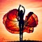 the_aries_