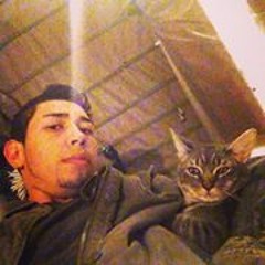 Francisco Niño Sanchez