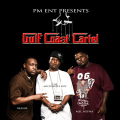 Gulf Coa$t Cartel