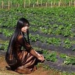 Nge Nge Yu May