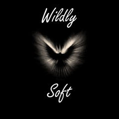 Wildly Soft