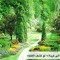 Mohammad Ali Youssef